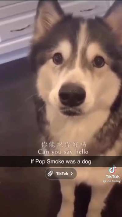 Huskey fucks with Pop Smoke? 💫