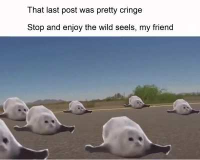 s e e l s