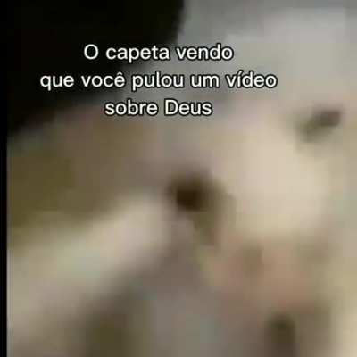 Orochisegundo - Video #0373