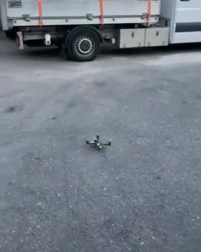 biird. goes wheeee