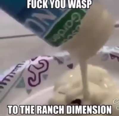 Wasp 🤮🤮🤮