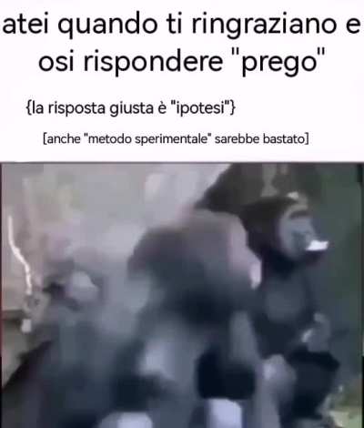 almeno non hanno questi problemi in veneto