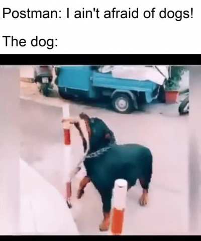 The postman better know how to run fast