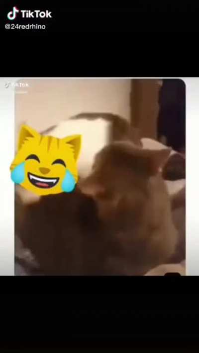He gonna have a snack