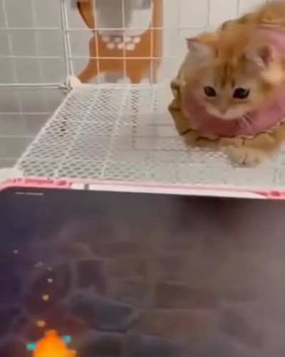 Not now, Karen. I’m debugging.