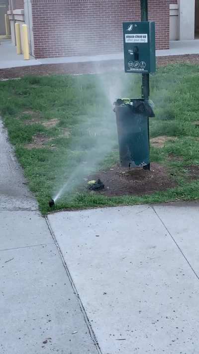 City in a nutshell