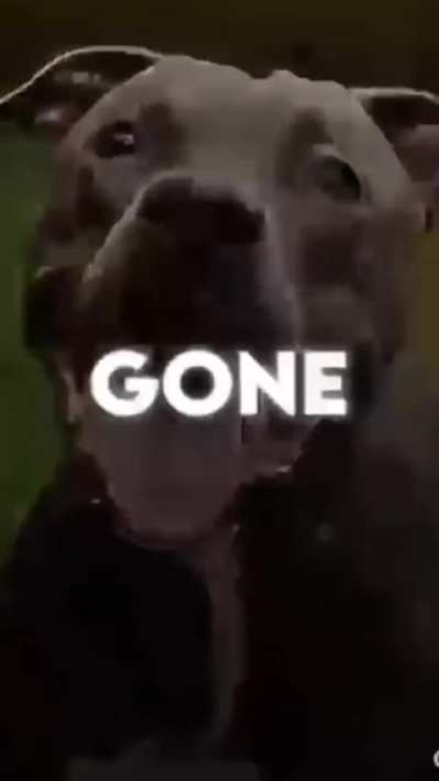 🗣️🗣️it’s gone🗣️🗣️