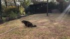 She doesn’t trust the garden hose