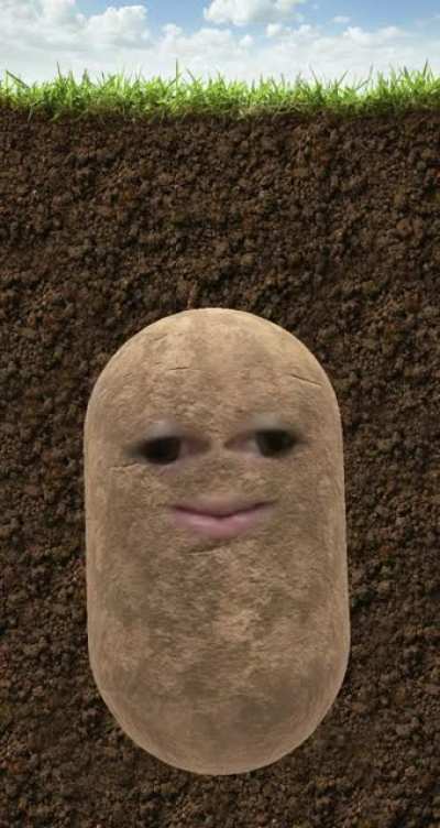 I only wanted to become potato
