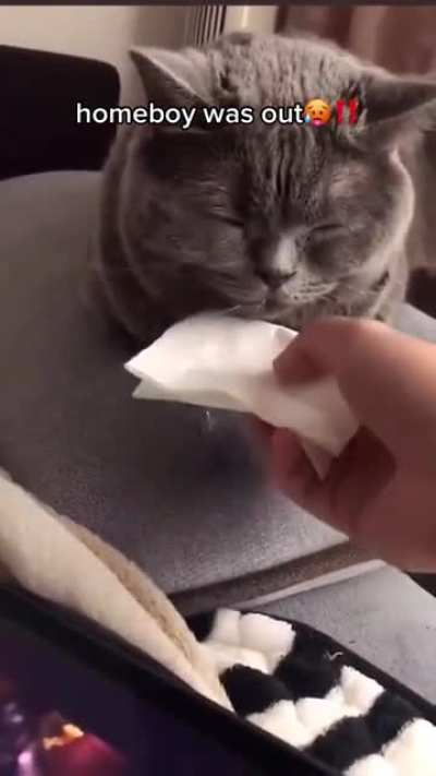 That’s a sign of a very happy cat