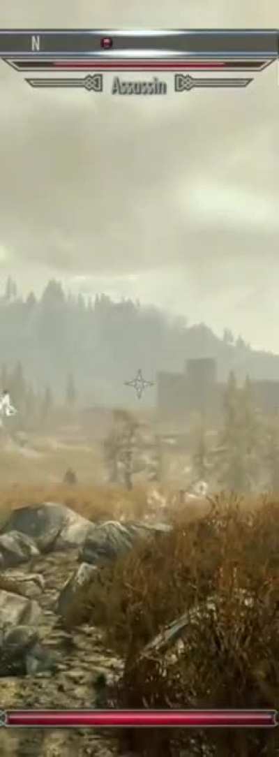 Some things I don’t get in Skyrim, this is one of them