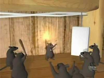 Rats rule