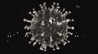 Made an Intro for the Coronavirus like the one from The Last of Us :)