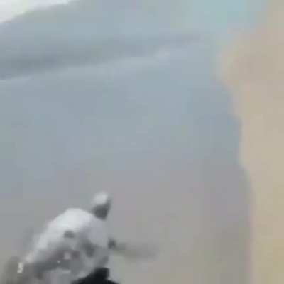 Just a normal turtle…