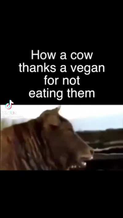 a thanks to vegans