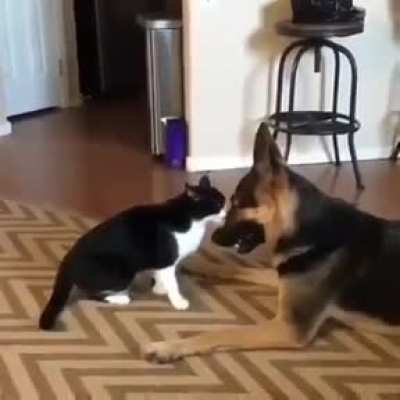 to be mean