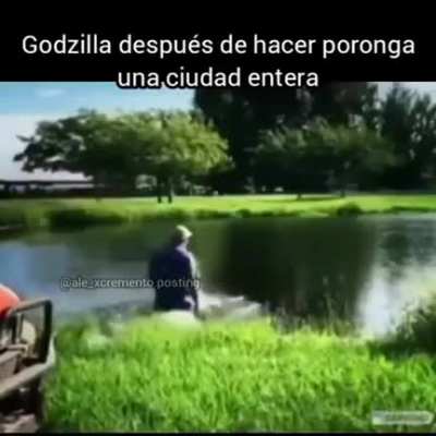 Si