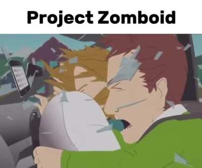 Ragdolls are goated