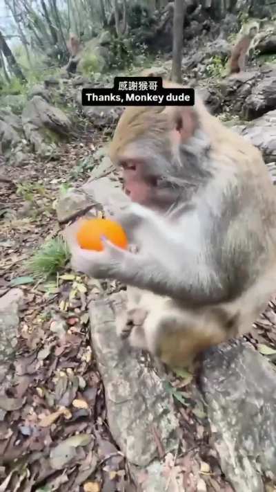 Thanks lil' bro!