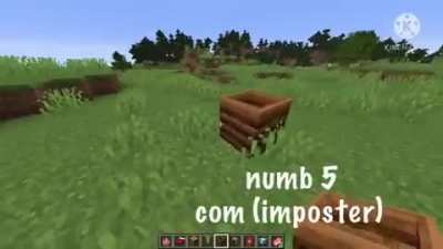AMOG US????