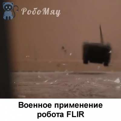 Робомяу #29: подборка новостей робототехники за неделю