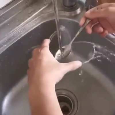Cohesion, adhesion, and surface tension at play