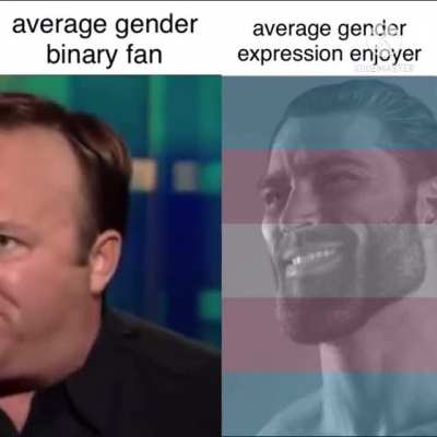 Ya know what, fuck the transphobes. I’m gonna get downvoted into oblivion but who cares