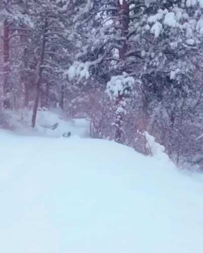 Jumpy snow plow