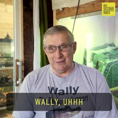 Wally The Support Gator