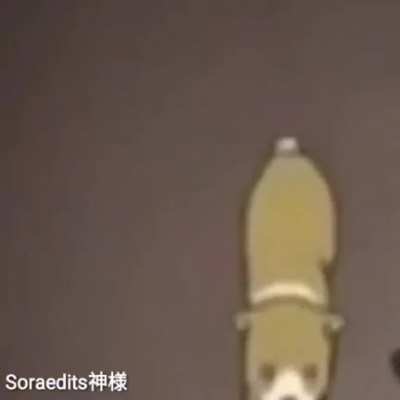 Esse é seu ídolo?