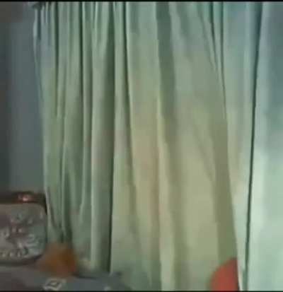 Xd