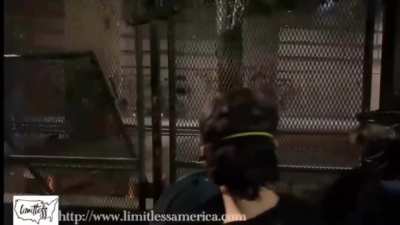 Antifa rioters in Portland throw a bomb at the federal courthouse