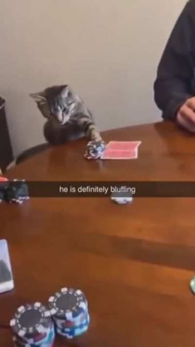Risking It All