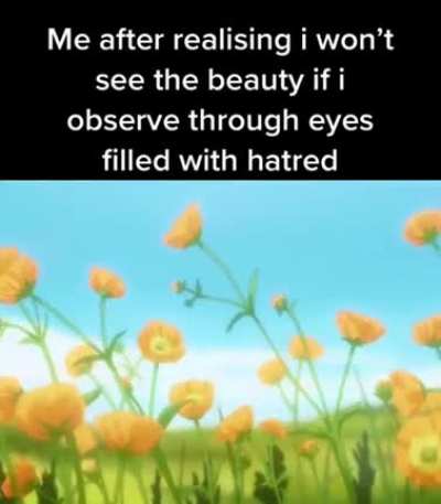 I have no enemies