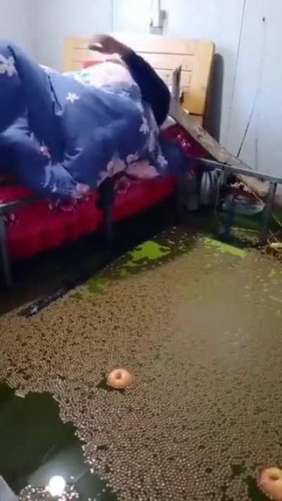 Tipik Öğrenci Evi