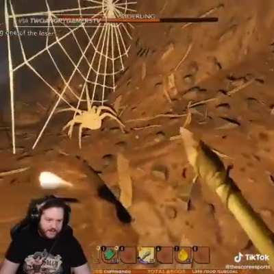 F--k u lil' spider