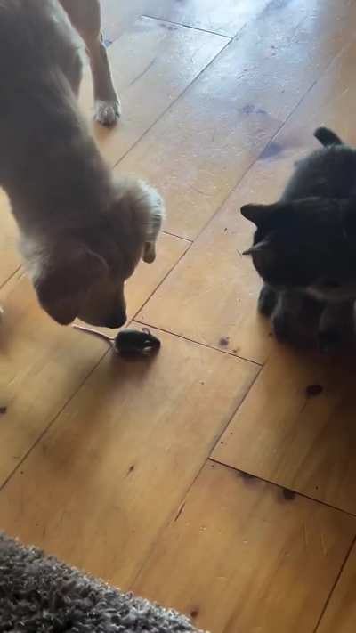 Maybe Maybe Maybe