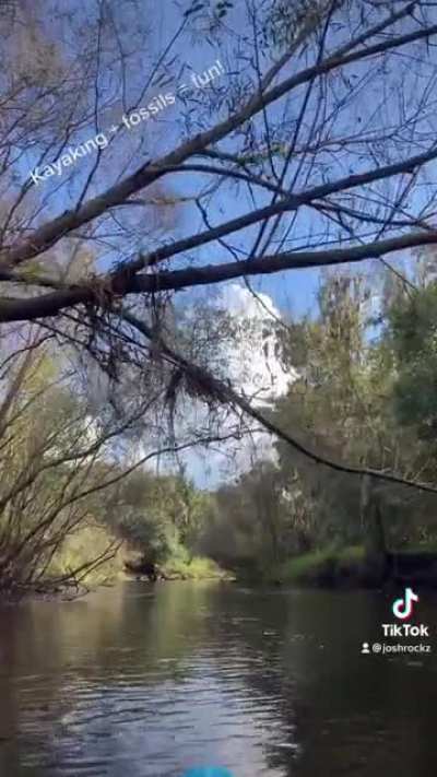 Sunday on the river