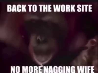 funi monke
