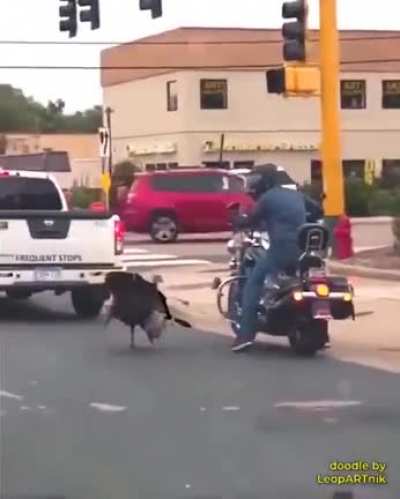 Epic Battle