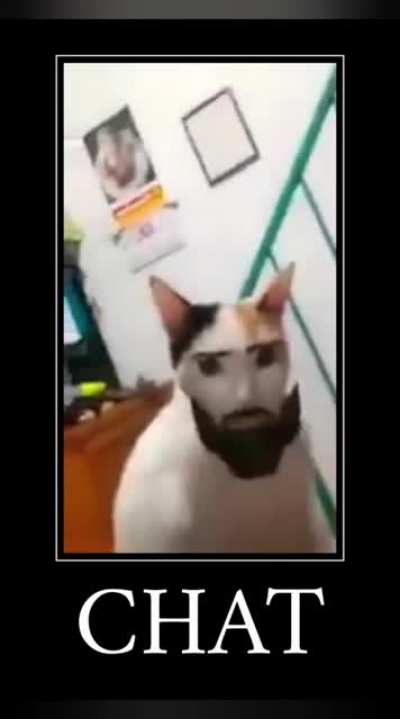 chat