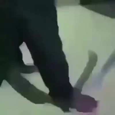 x1 de Angolano