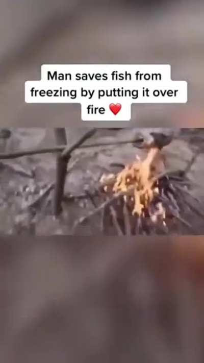 Faith in humanity restored