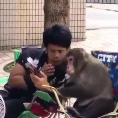 New generation Monkey