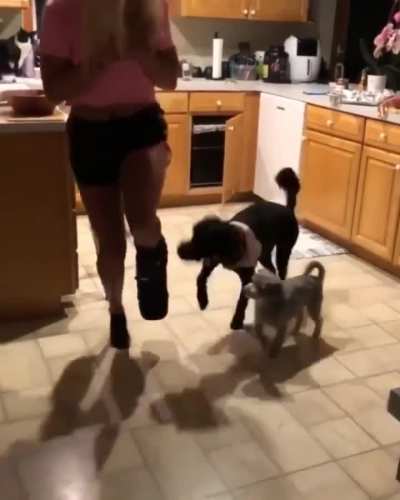 Dogs are always up for whatever even if they don't totally know what's going on. 
