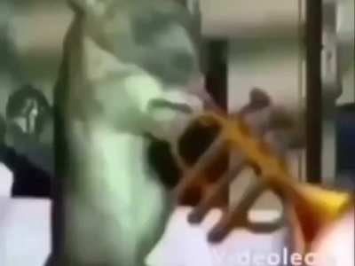 🎺