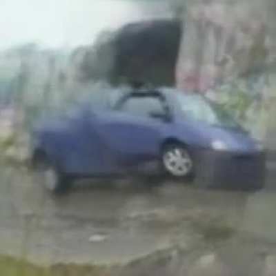 Twingo singing Dame Na De