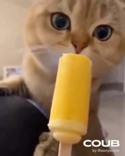Delicious