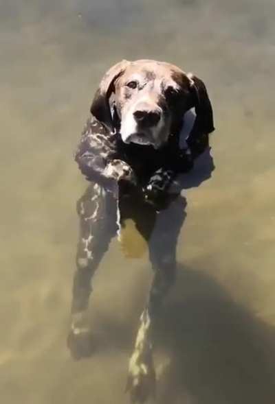 Just hanging in the lake