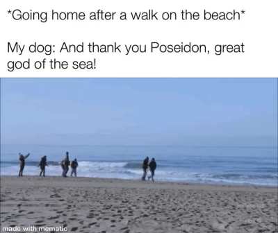 We shall see each other again, soon!